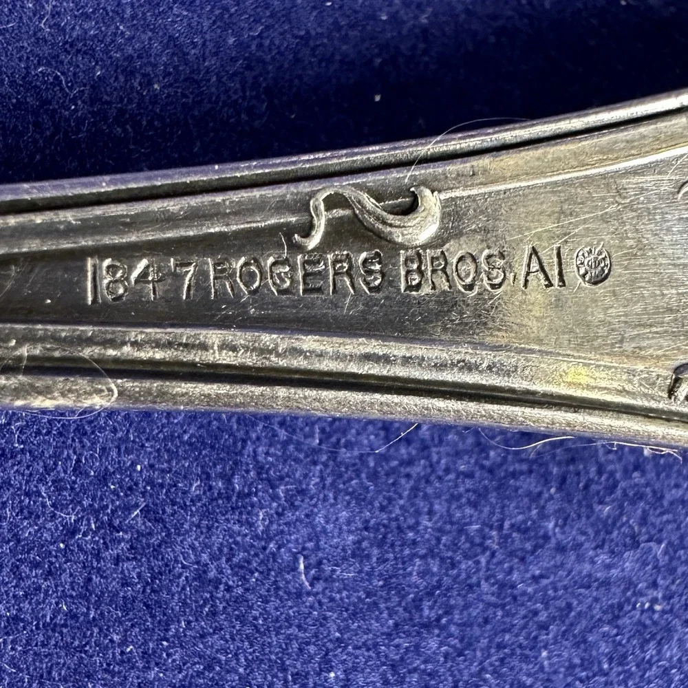 1847 Rogers/International VINTAGE Grape Silverplate Serving Spoon Fork & Spoon
